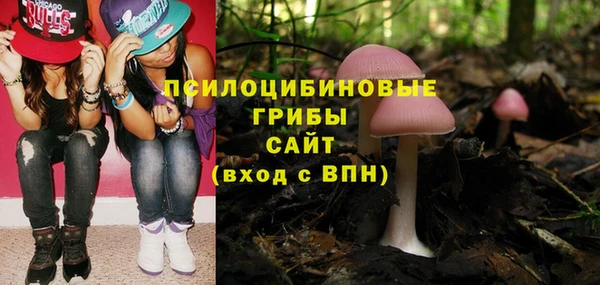 метадон Белокуриха