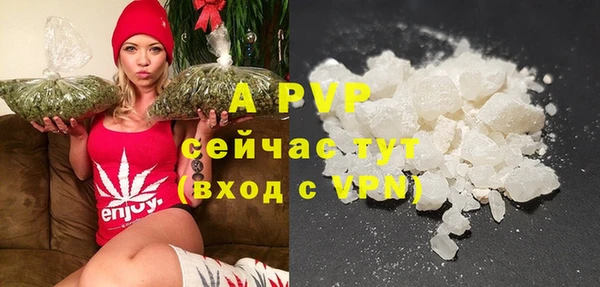 ПСИЛОЦИБИНОВЫЕ ГРИБЫ Белоозёрский