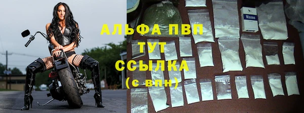 ПСИЛОЦИБИНОВЫЕ ГРИБЫ Белоозёрский